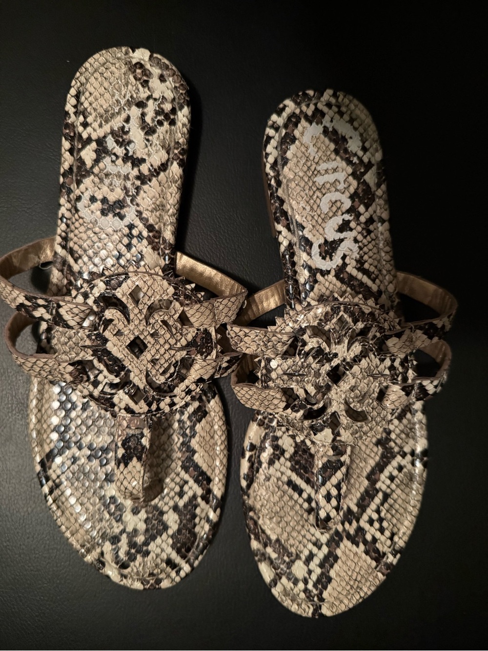 Circus by Sam Edelman Beige and Black Snake-Print Slide Sandals